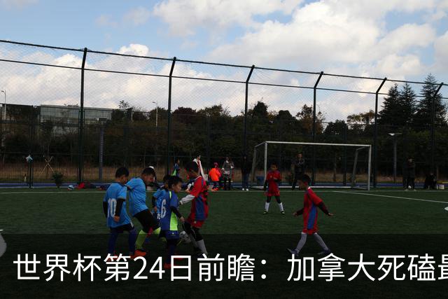世界杯第24日前瞻：加拿大死磕最大苦主 姆巴佩冲击里程碑